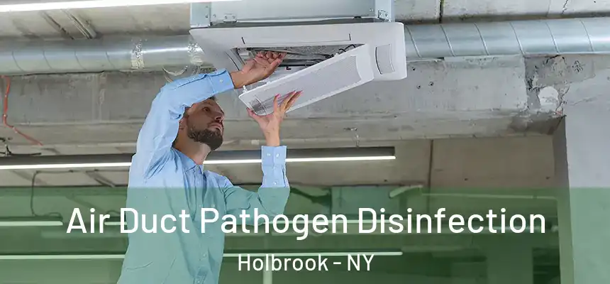 Air Duct Pathogen Disinfection Holbrook - NY