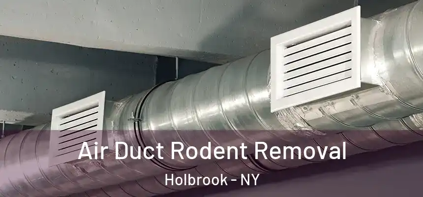 Air Duct Rodent Removal Holbrook - NY