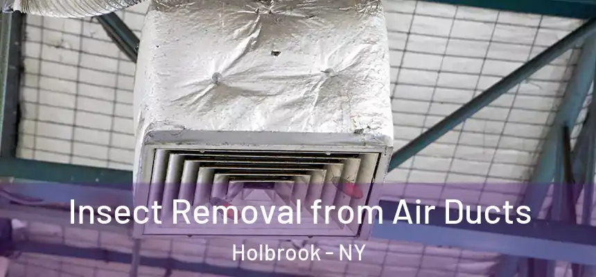  Insect Removal from Air Ducts Holbrook - NY