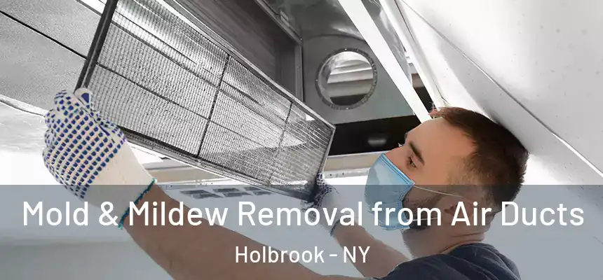 Mold & Mildew Removal from Air Ducts Holbrook - NY