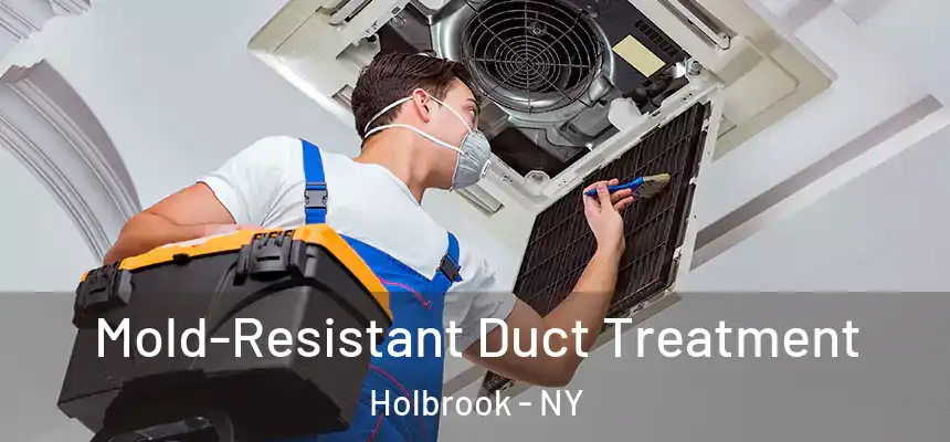  Mold-Resistant Duct Treatment Holbrook - NY