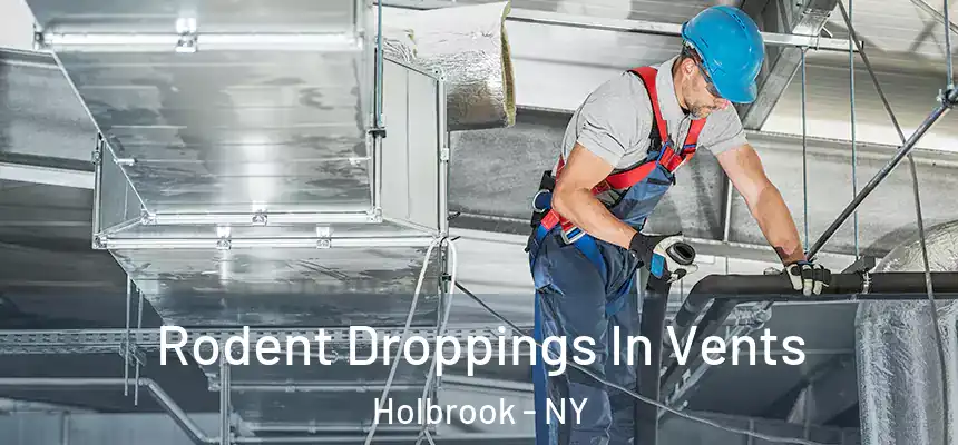  Rodent Droppings In Vents Holbrook - NY