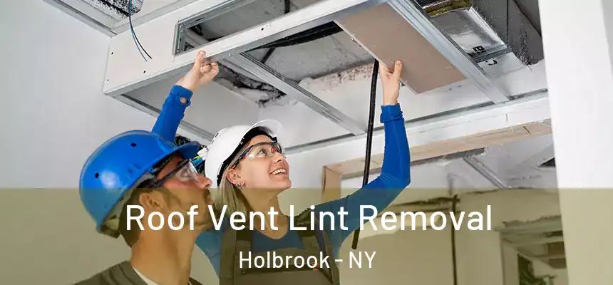  Roof Vent Lint Removal Holbrook - NY