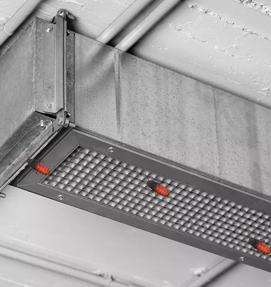About Air Duct Cockroach Removal in Holbrook, NY
