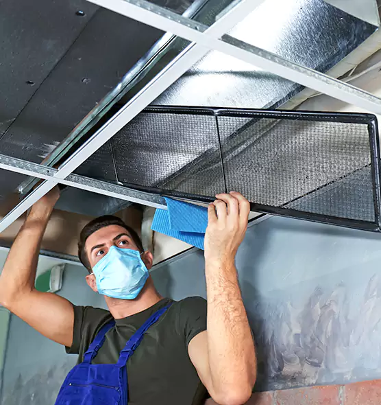 Professional Air Duct Pollen Cleaning in Holbrook, NY
