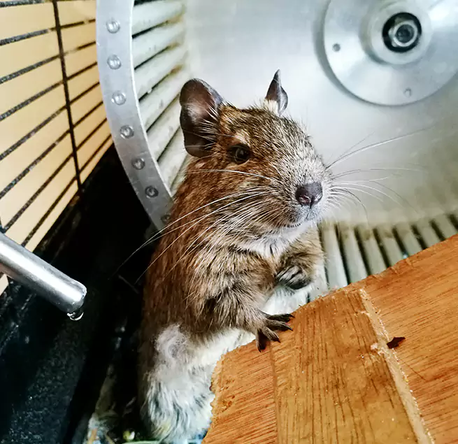 Why Homeowners & Businesses Trust Us Holbrook, NY