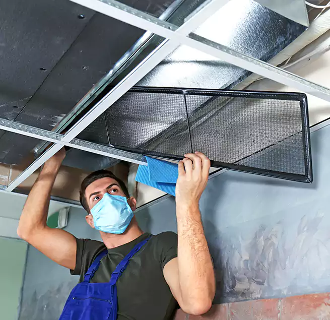 Why Homeowners Businesses Trust Us in Holbrook, NY